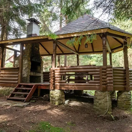 маєток ліс і гори * Bukovel