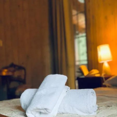 Chalet маєток ліс і гори Bukovel