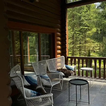 Chalet маєток ліс і гори