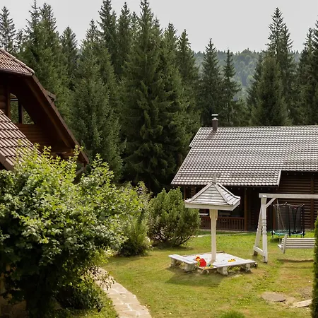маєток ліс і гори 木屋