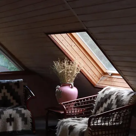 Chalet маєток ліс і гори *