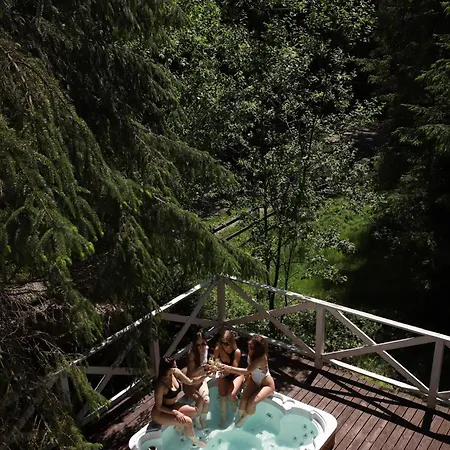 Chalet маєток ліс і гори