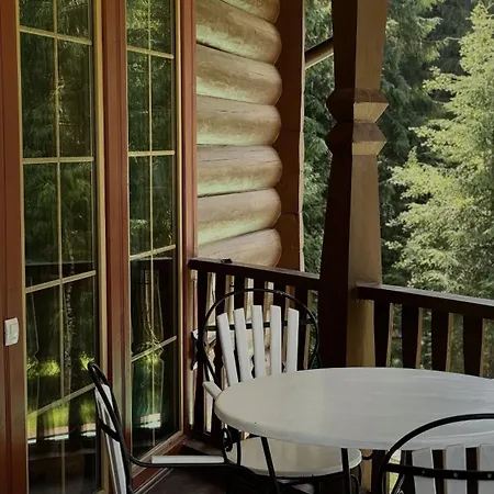 Chalet маєток ліс і гори